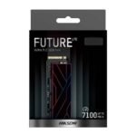 SSD Hiksemi Future Lite