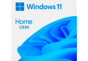 Licencia Windows 11 OEM